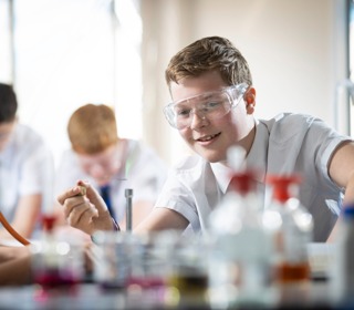 Beyond The Forest School